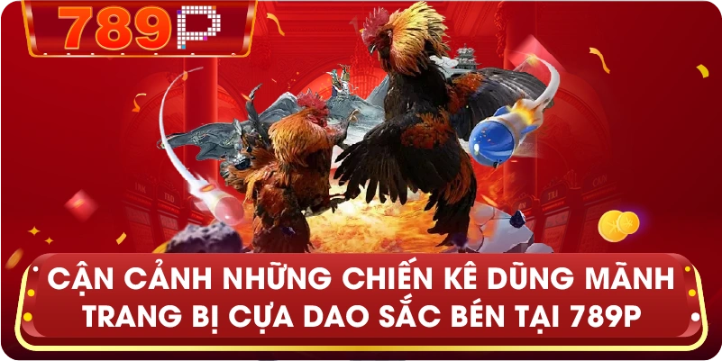 Cận cảnh những chiến kê dũng mãnh trang bị cựa dao sắc bén tại 789P